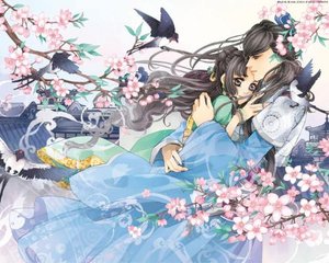 打扑克视频免费在线观看